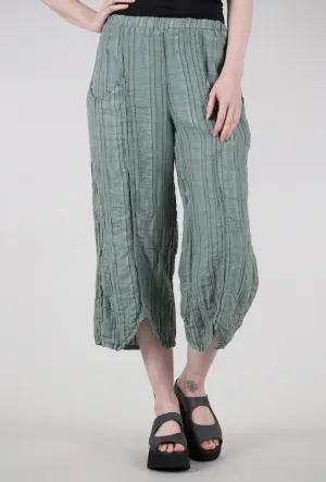 Jerry Pant, Sage