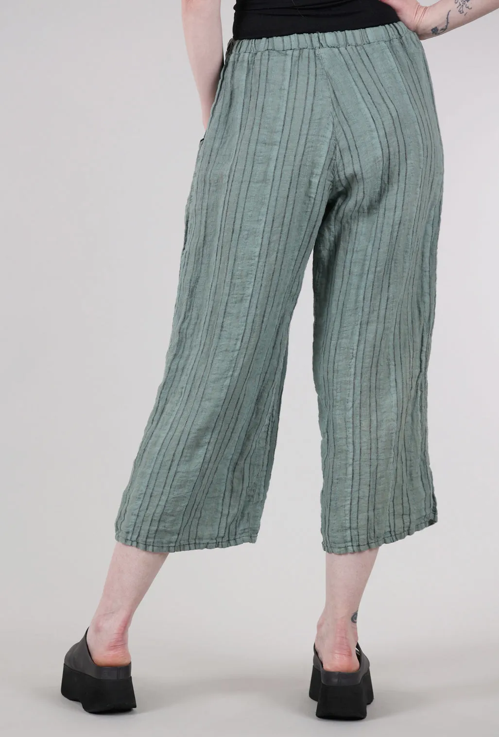Jerry Pant, Sage