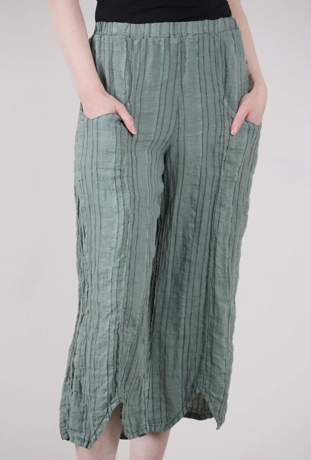 Jerry Pant, Sage
