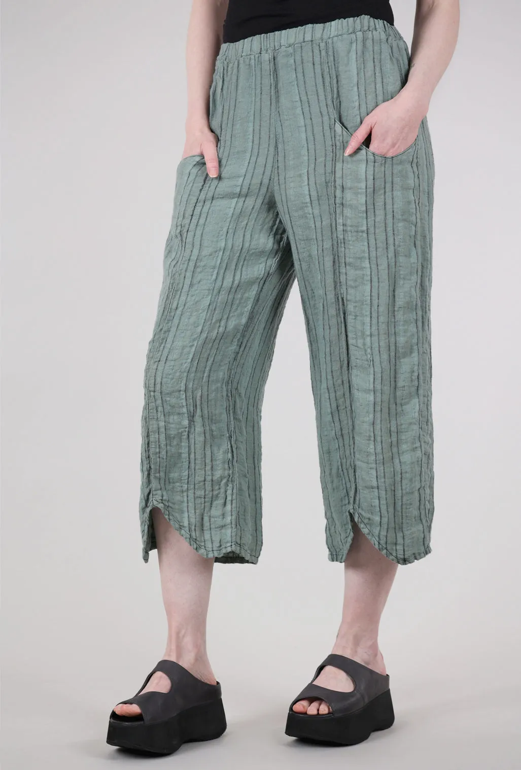 Jerry Pant, Sage
