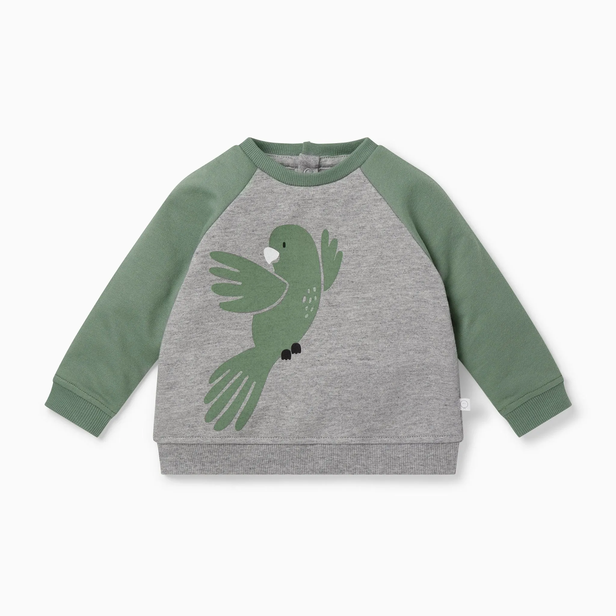 Khaki Bird Sweater & Joggers Outfit